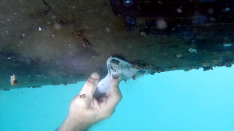 Scraperite Scraping Barnacles From Ship Bottom